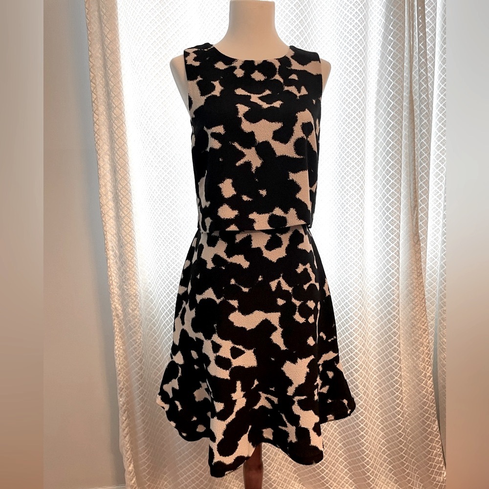 Black & White Splashed Dress